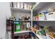 Walk-in pantry stocked with an array of food items and household goods on organized shelving at 24578 W Concorda Dr, Buckeye, AZ 85326