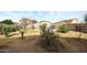 Expansive backyard featuring trees, shrubs, and a block wall perimeter at 5608 E Lush Vista Vw, Florence, AZ 85132