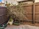 Outdoor patio features a mature tree, stone ground cover and multiple potted plants at 16402 N 31St St # 134, Phoenix, AZ 85032