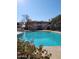 Relax and unwind at the community pool on a beautiful sunny day at 16402 N 31St St # 134, Phoenix, AZ 85032