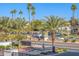Picturesque street view showcasing palm trees, mountain views, and the surrounding neighborhood at 1717 E Morten Ave # 16, Phoenix, AZ 85020