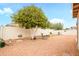 Lush backyard with a mature citrus tree, decorative elements, and inviting seating areas for relaxation at 18080 W Udall Dr, Surprise, AZ 85374