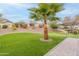 Putting green with palm tree and well manicured yard with paver border at 20618 W Western Dr, Buckeye, AZ 85396