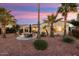 Open backyard with covered patio featuring desert landscaping, mature palm trees, and an inviting ambiance at 22416 N Arrellaga Dr, Sun City West, AZ 85375