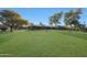 The expansive green backyard with mature trees presents ample space for outdoor activities and relaxation at 2718 E Campo Bello Dr, Phoenix, AZ 85032