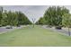 Street view showcasing trees on each side of a lush green median at 4064 E Morrison Ranch Pkwy, Gilbert, AZ 85296