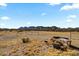 Fenced property with desert landscaping and mountain backdrop at 53573 W Fresno Rd, Maricopa, AZ 85139