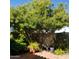 A shady tree offers a cool spot in this peaceful backyard with brick patio at 5824 N Scottsdale Rd, Paradise Valley, AZ 85253