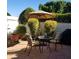 Inviting backyard patio featuring seating under an umbrella and manicured landscaping at 5824 N Scottsdale Rd, Paradise Valley, AZ 85253