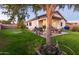 Lush backyard with a large tree, covered patio, and well-maintained lawn at 11197 W Coronado Rd, Avondale, AZ 85392