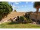 Picturesque backyard showcasing a rock water feature, mature trees, cacti and privacy wall at 20821 W Ridge Rd, Buckeye, AZ 85396