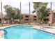 Outdoor pool area featuring palm trees and lounge seating at this multi-Gathering property at 5877 N Granite Reef Rd # 2203, Scottsdale, AZ 85250