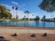 Scenic lake with fountains surrounded by lush greenery and palm trees in a community setting at 7714 E Calypso Ave, Mesa, AZ 85208