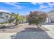 Landscaped front yard with desert-style plants including a mature palm and flowering shrub at 9609 E Monte Ave, Mesa, AZ 85209