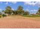 Expansive backyard featuring low-maintenance landscaping and mature trees, perfect for enjoying the outdoors at 20603 N Stonegate Dr, Sun City West, AZ 85375