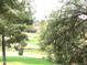 A sprawling green golf course is viewed through some lovely trees at 4303 E Cactus Rd # 331, Phoenix, AZ 85032