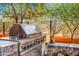 Outdoor stainless steel grill with countertop and desert landscape backdrop at 7500 E Roy Rogers Rd, Scottsdale, AZ 85266