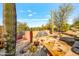 Multi-tiered water feature with lush desert plants and a stone-paved seating area at 7500 E Roy Rogers Rd, Scottsdale, AZ 85266