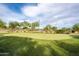 Enjoy a manicured putting green for leisurely play, surrounded by desert landscaping at 8634 E Kael Cir, Mesa, AZ 85207