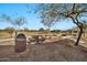 Picnic area offers a great spot for outdoor dining amidst the landscaped community grounds and mature shade trees at 9388 W Cashman Dr, Peoria, AZ 85383