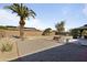 Spacious backyard featuring a covered patio, gravel landscaping, mature trees, and desert vegetation at 17410 N Conquistador Dr, Sun City West, AZ 85375