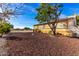 Large backyard featuring a large tree and gravel at 19412 W Clarendon Ave, Litchfield Park, AZ 85340