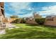 Lush backyard featuring manicured lawn, decorative plants, and privacy fencing at 2065 N Red Clf, Mesa, AZ 85207