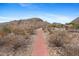 Desert walking path leading to a modern home, surrounded by native vegetation and mountain views at 6426 N 27Th St, Phoenix, AZ 85016
