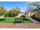 Spacious backyard with well-maintained lawn, mature trees, and shaded seating at 6960 E Ivyglen St, Mesa, AZ 85207