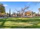 A playground is set in a local community park with mature trees and lush turf at 6960 E Ivyglen St, Mesa, AZ 85207