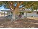 Outdoor patio partially shaded by a mature tree in the backyard at 10303 W Desert Forest N Cir, Sun City, AZ 85351