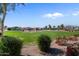 Scenic community green space with manicured lawn and landscaping at 2206 S Ellsworth Rd # 157B, Mesa, AZ 85209
