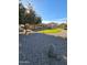 Desert backyard featuring gravel, artificial grass, patio, and shade tree at 32071 N Chestnut Trl, San Tan Valley, AZ 85143