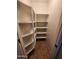 A well-organized walk-in pantry with multiple shelves provides ample storage at 32071 N Chestnut Trl, San Tan Valley, AZ 85143