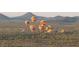 Aerial view of colorful hot air balloons landing in the desert landscape at 36879 N 38Th St, Cave Creek, AZ 85331