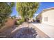 Landscaped backyard featuring mature trees, desert vegetation, and paved walkways at 43639 W Blazen Trl, Maricopa, AZ 85138
