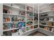 Walk-in pantry with ample shelving for organized storage of food items and kitchen supplies at 10455 E Thatcher Ave, Mesa, AZ 85212
