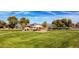 Community park features a lush green lawn with a playground, shaded picnic area, and mature trees at 11737 N 143Rd Dr, Surprise, AZ 85379