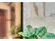 Close up of an indoor plant with detailed leaves and a modern decoration aesthetic at 11737 N 143Rd Dr, Surprise, AZ 85379