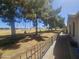 Landscaped backyard with a view of the golf course beyond trees, offering a tranquil outdoor space at 650 N Hawes Rd # 4834, Mesa, AZ 85207