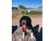 Community dog run, an ideal space for your furry friend at 650 N Hawes Rd # 4834, Mesa, AZ 85207