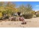 Charming single-story home with mature desert landscaping and a stone-accented front yard at 9370 E Calle De Las Brisas --, Scottsdale, AZ 85255
