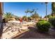 Landscaped backyard features gravel, concrete, palm trees, and a glimpse of the sparkling pool at 1044 E Stottler Ct, Gilbert, AZ 85296