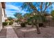Landscaped backyard with beautiful plants, trees, rock ground cover, and outdoor seating area at 3401 E Isaiah Ave, Gilbert, AZ 85298
