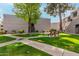 Well-maintained grassy common area with benches and mature trees, perfect for outdoor enjoyment at 4444 E Paradise Village N Pkwy # 132, Phoenix, AZ 85032