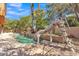 Backyard with a sparkling pool, slide, and mature trees, creating a fun and inviting outdoor space for all ages at 20709 N 59Th Dr, Glendale, AZ 85308