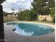 Backyard pool with a unique shape, surrounded by lush landscaping and a concrete deck at 3160 E Fox St, Mesa, AZ 85213