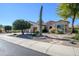 Well-maintained front yard with desert landscaping, mature trees, and a paver walkway leading to the entrance at 16935 W Desert Blossom Way, Surprise, AZ 85387