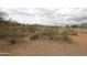 Future home site surrounded by desert landscape at 29022 N 166Th Ave, Surprise, AZ 85387