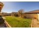 Green backyard featuring a lush lawn, mature trees, and manicured landscaping at 5054 S Advant Ter, Mesa, AZ 85212